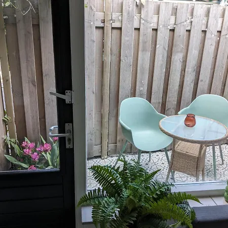 Zomerhuis In Wijk Aan Zee! 2 Pers *